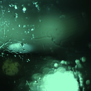 美女裸体羞羞漫画
