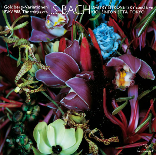 美女裸体羞羞漫画
